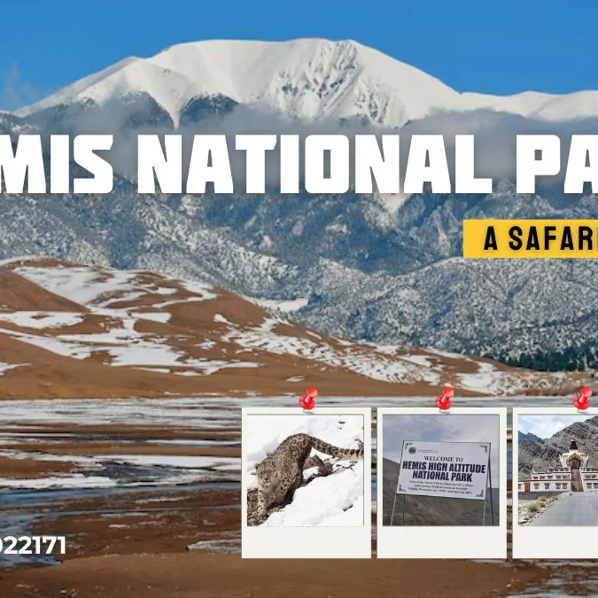 Hemis National Park - A Safari Guide