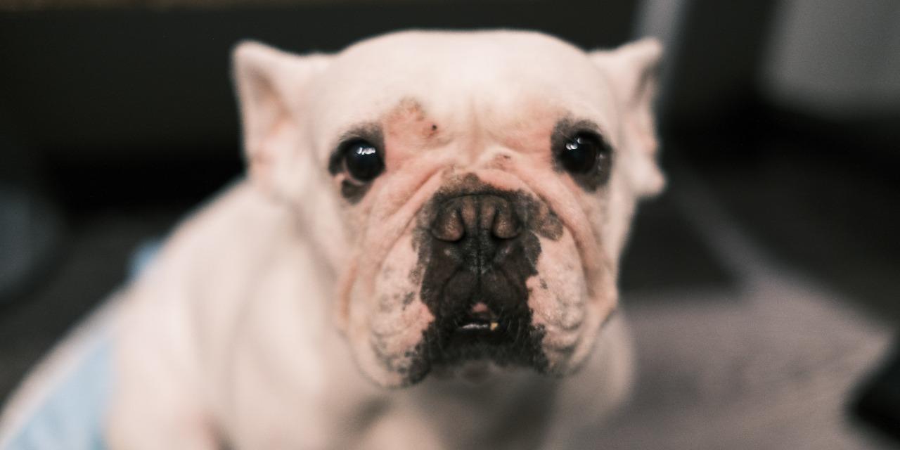 The Lightened 點亮咖啡💡