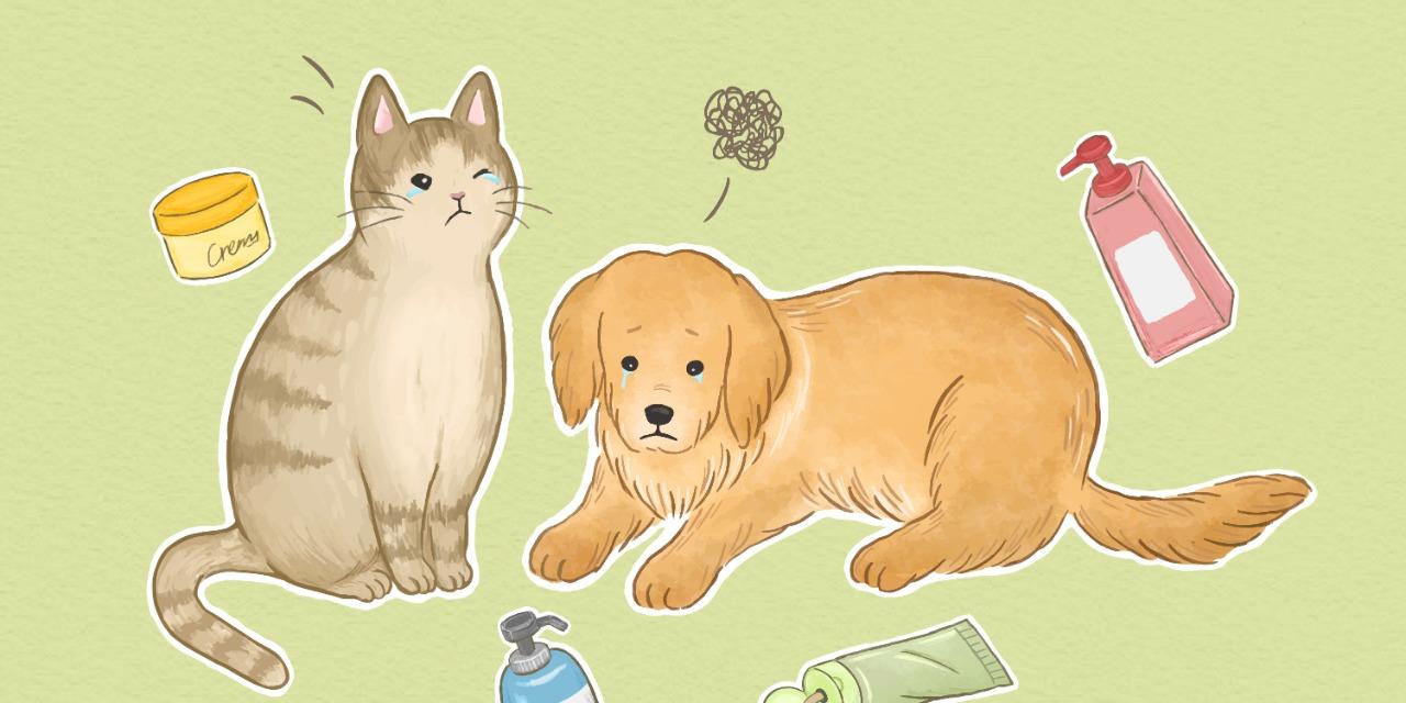 furlab_skincare 如何選擇真正「寵物友善」的護膚品？貓狗家庭必備選購指南