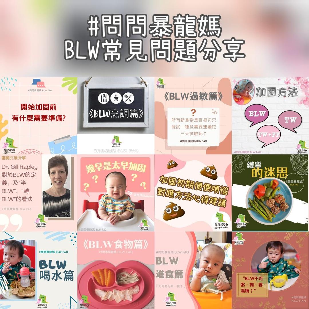 BLW 常見問題 新手迷思 入門必讀