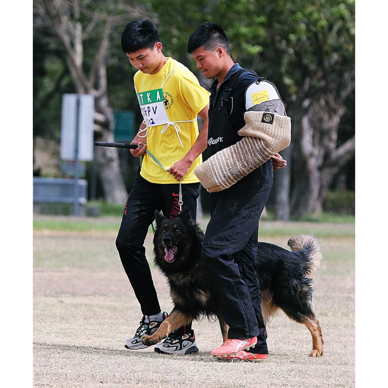 陳家班訓犬學校