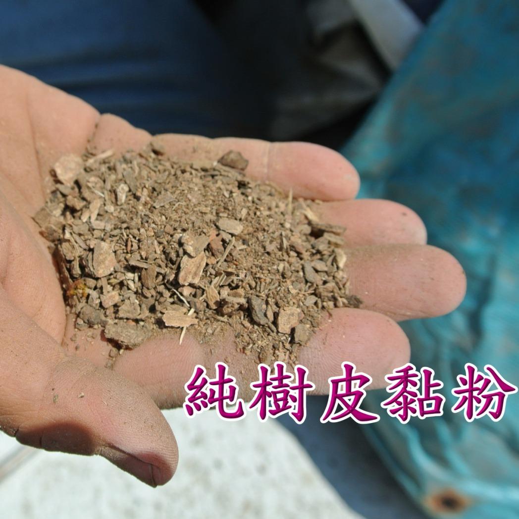 老爹威廉