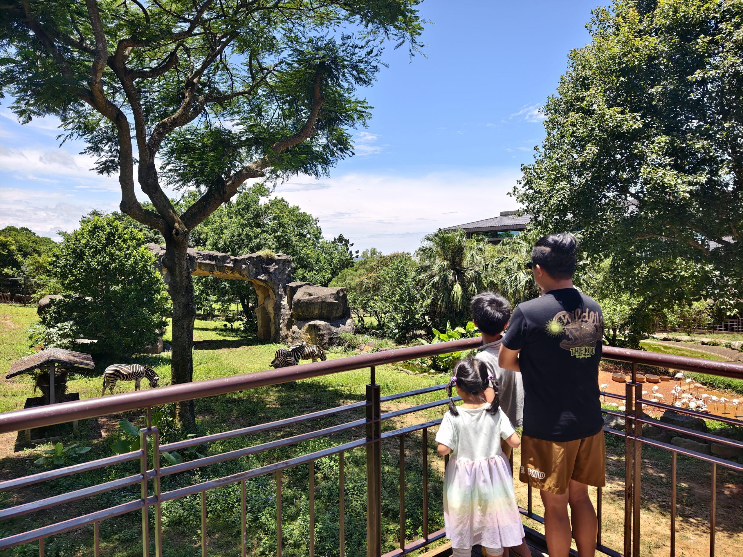小腹婆大世界 超狂樂園住宿專案，還可以搭火車看動物，住宿第二晚只要4xxx