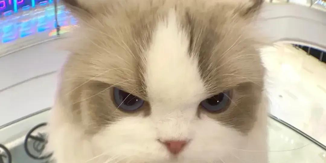 小毓芬💕💕 🥵💗