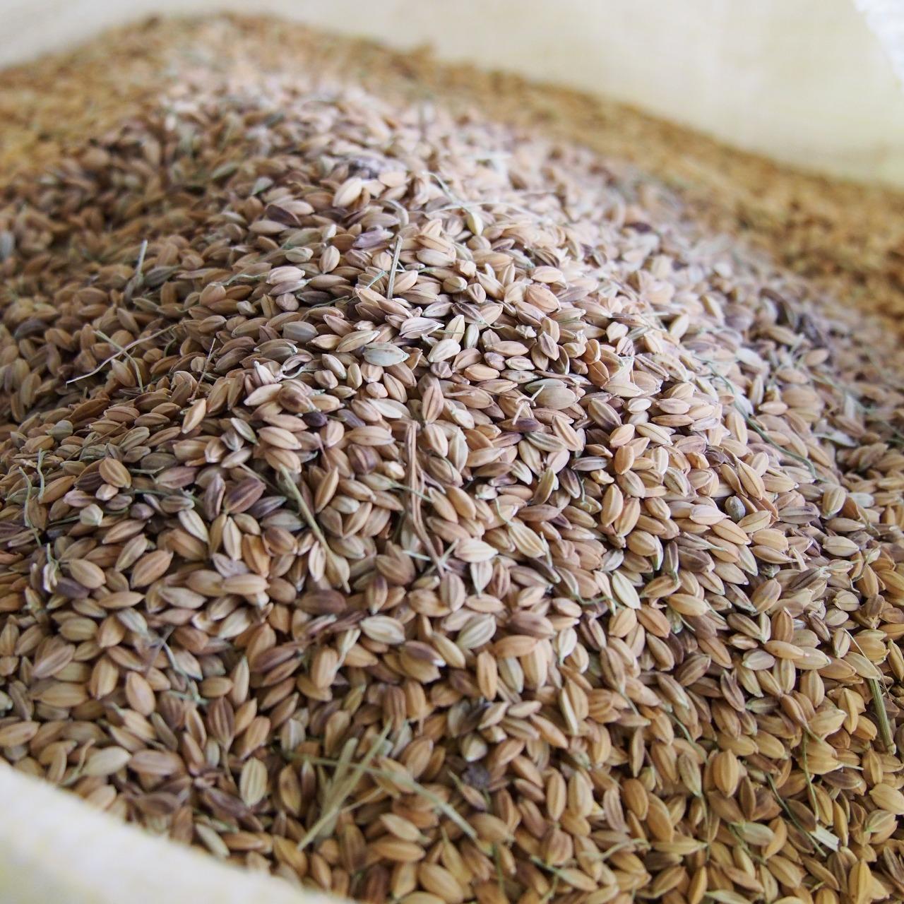 數位影音影像拍攝製作