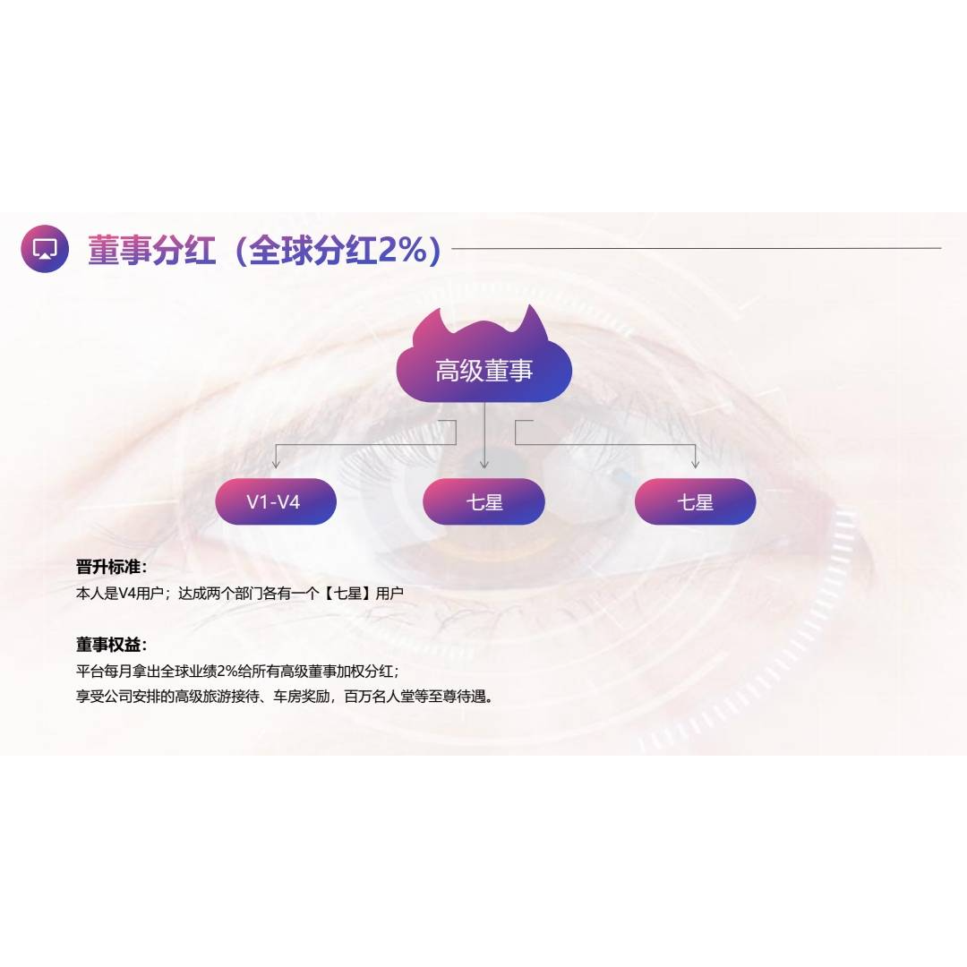 中国新零创+门店加盟计划
