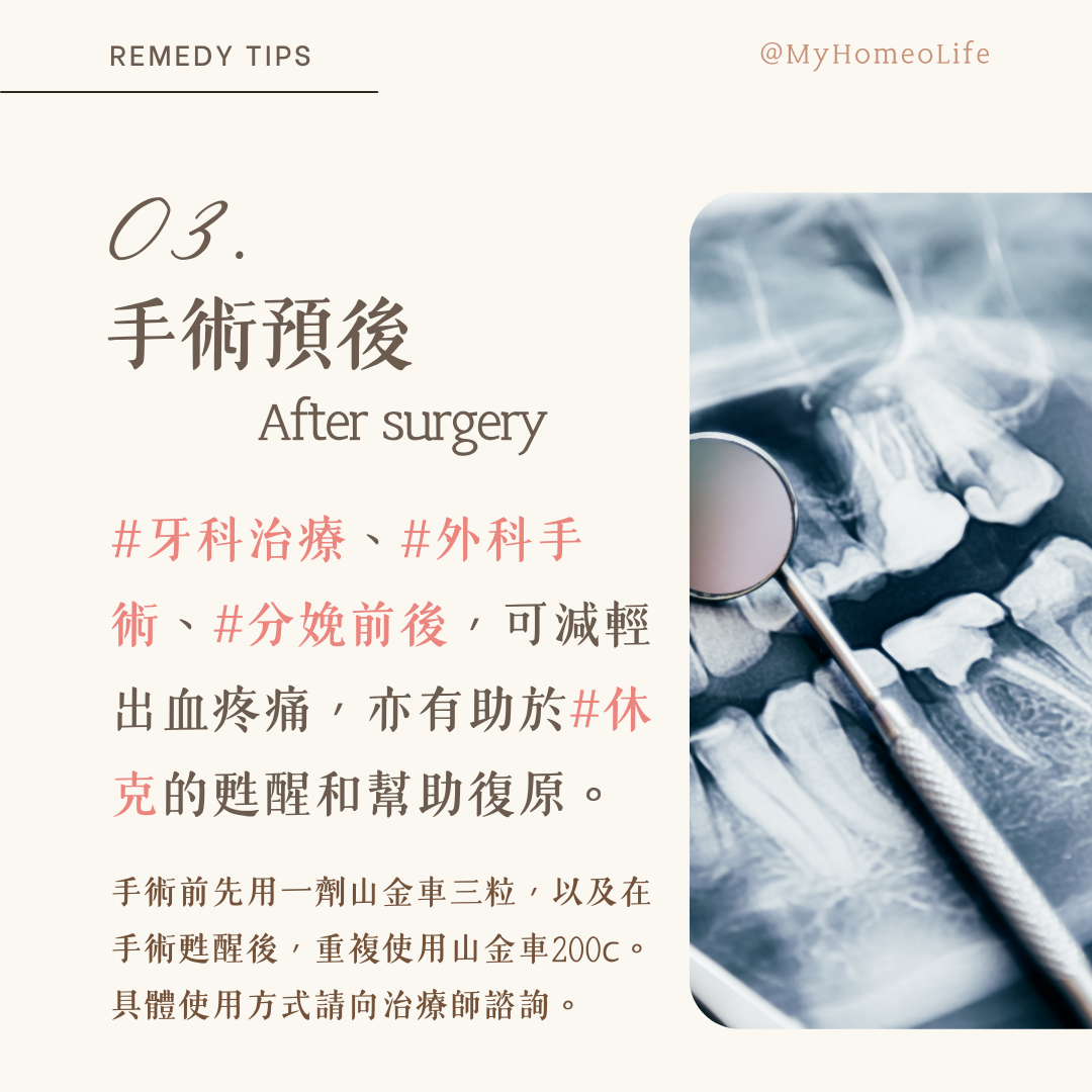 山金車 Arnica 順勢療法 homeopathy