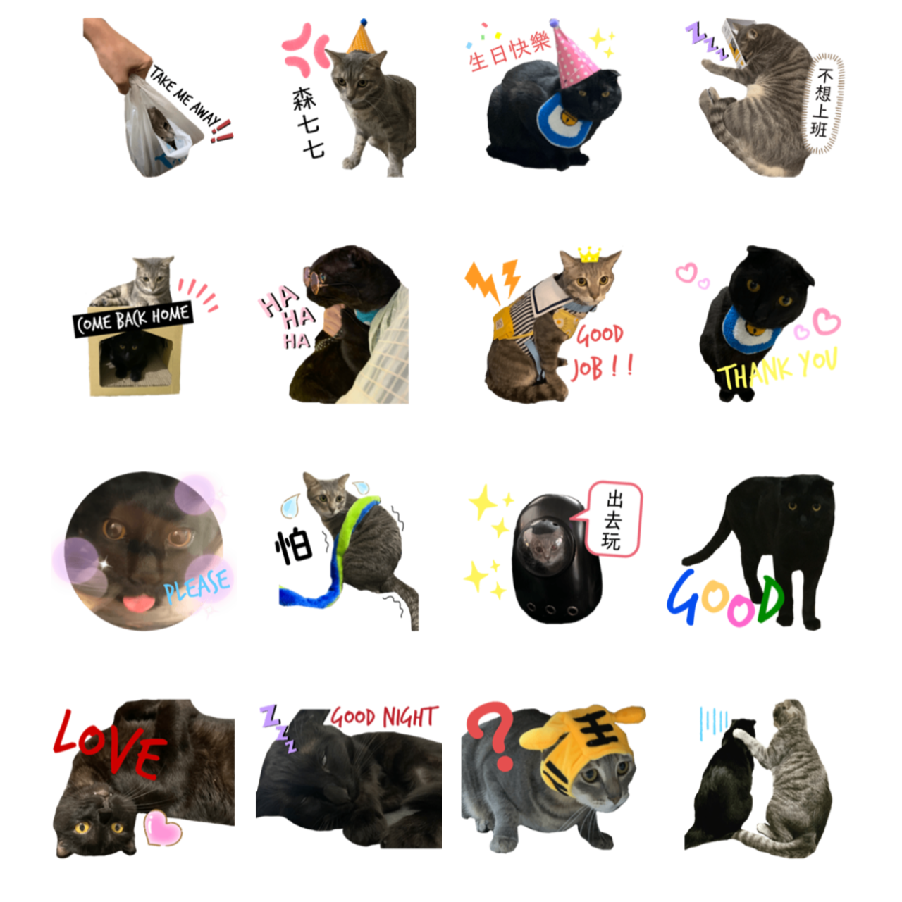 CANBEAR 萌萌貓貼圖