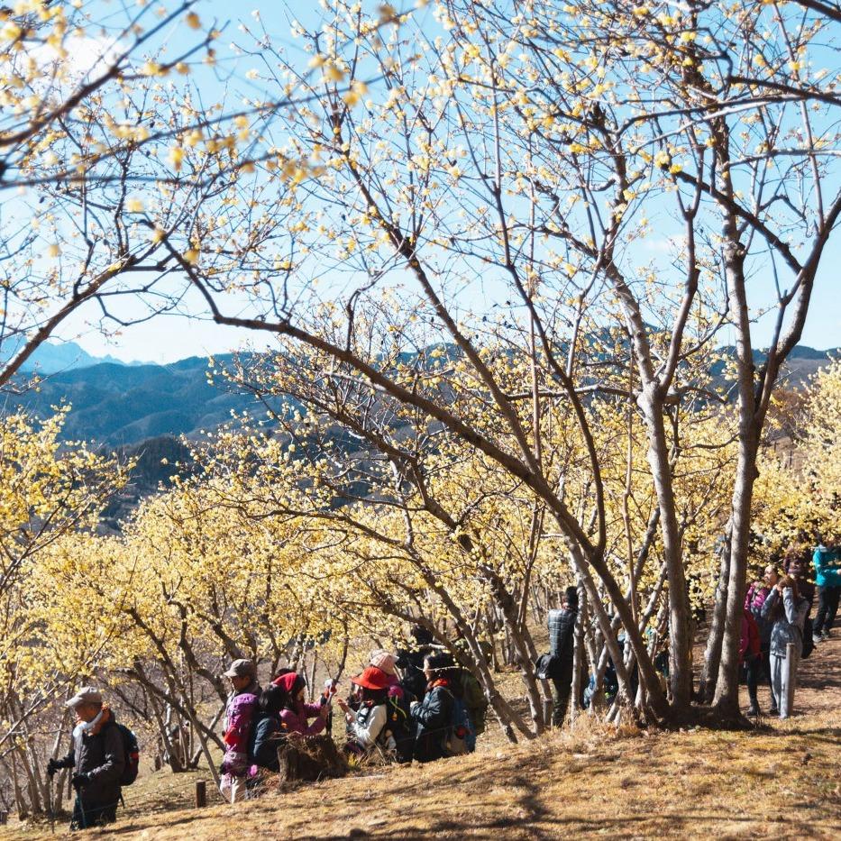 drifting.soul Smartwool 羊毛底層衣, 羊毛登山襪