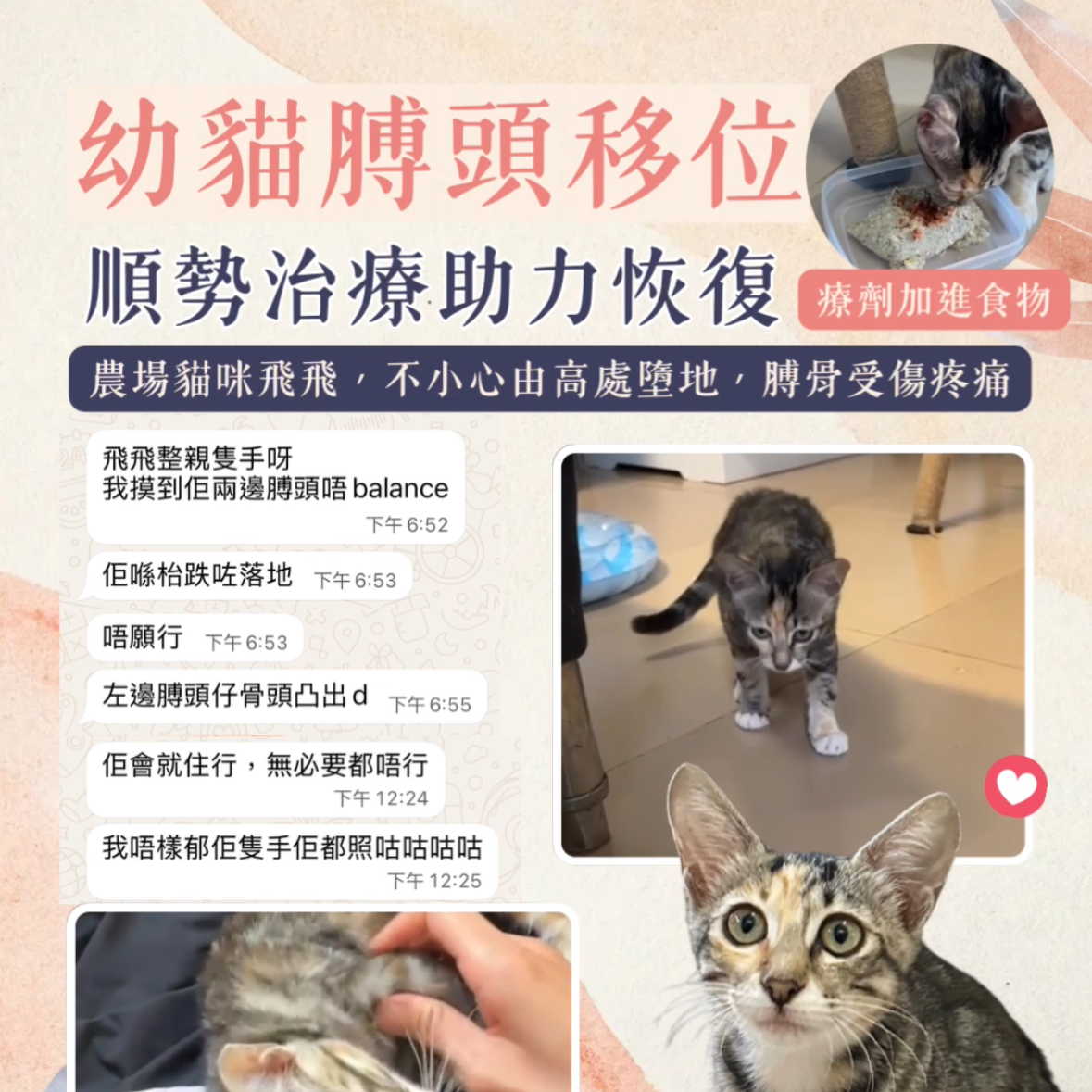 移位 扭傷 跌傷 浪浪 寵物治療 順勢療法 自然療法