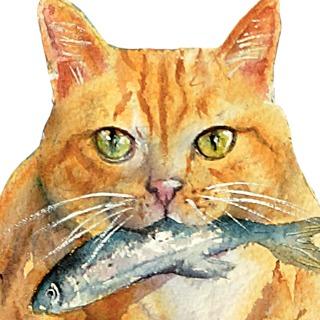 Behance 插畫作品集