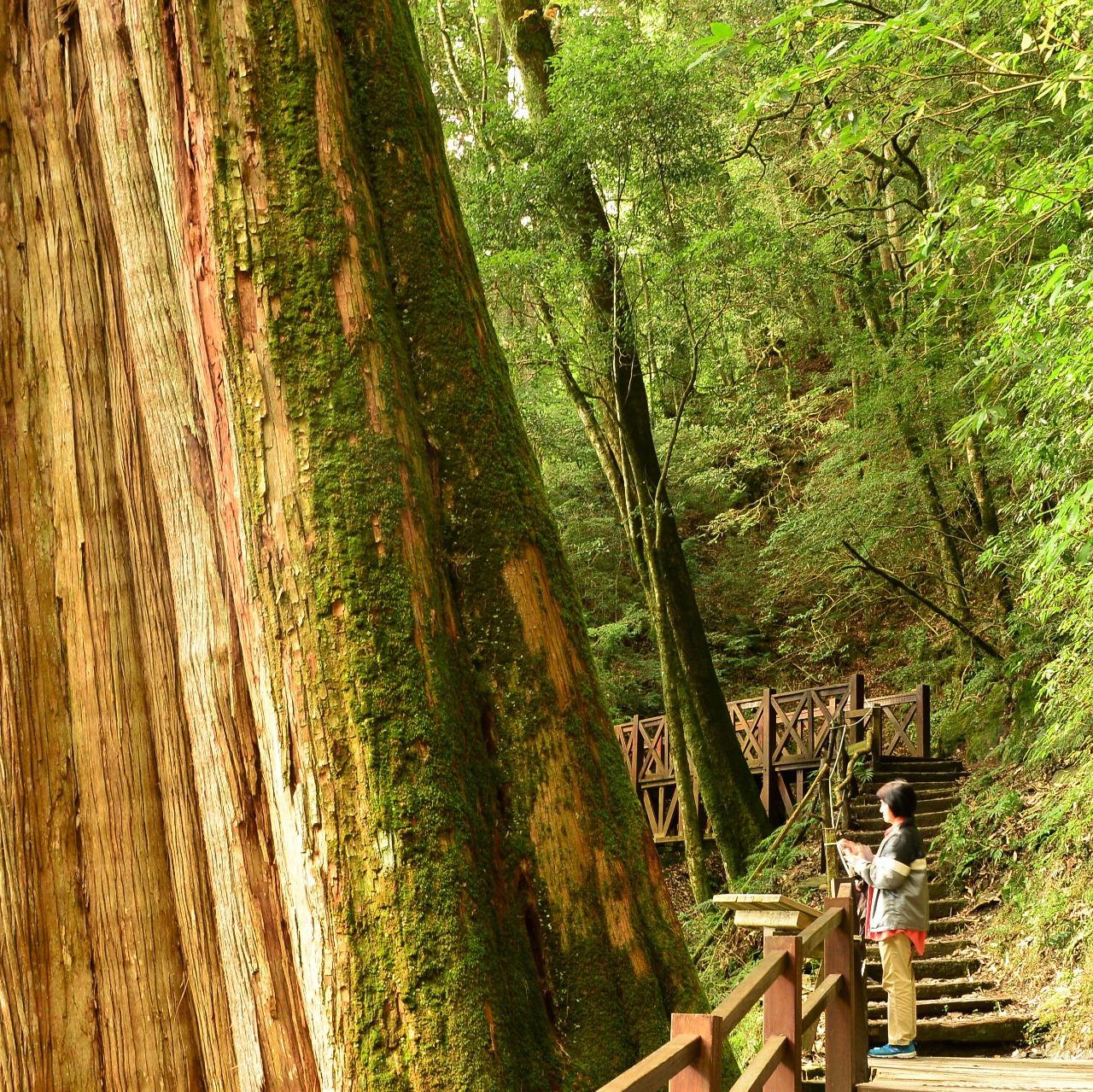 生活‧簡居‧生活