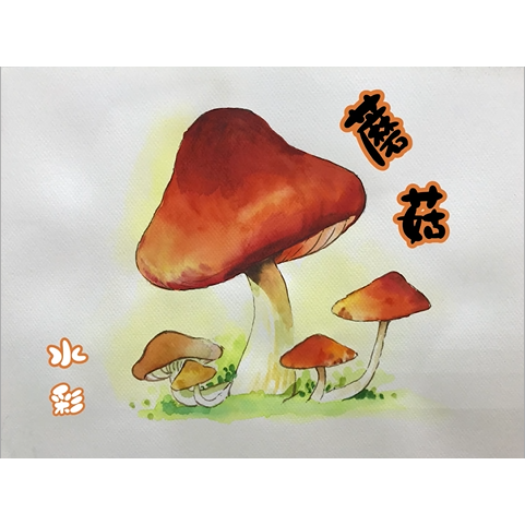 呂玲畫室 LUSTUDIO