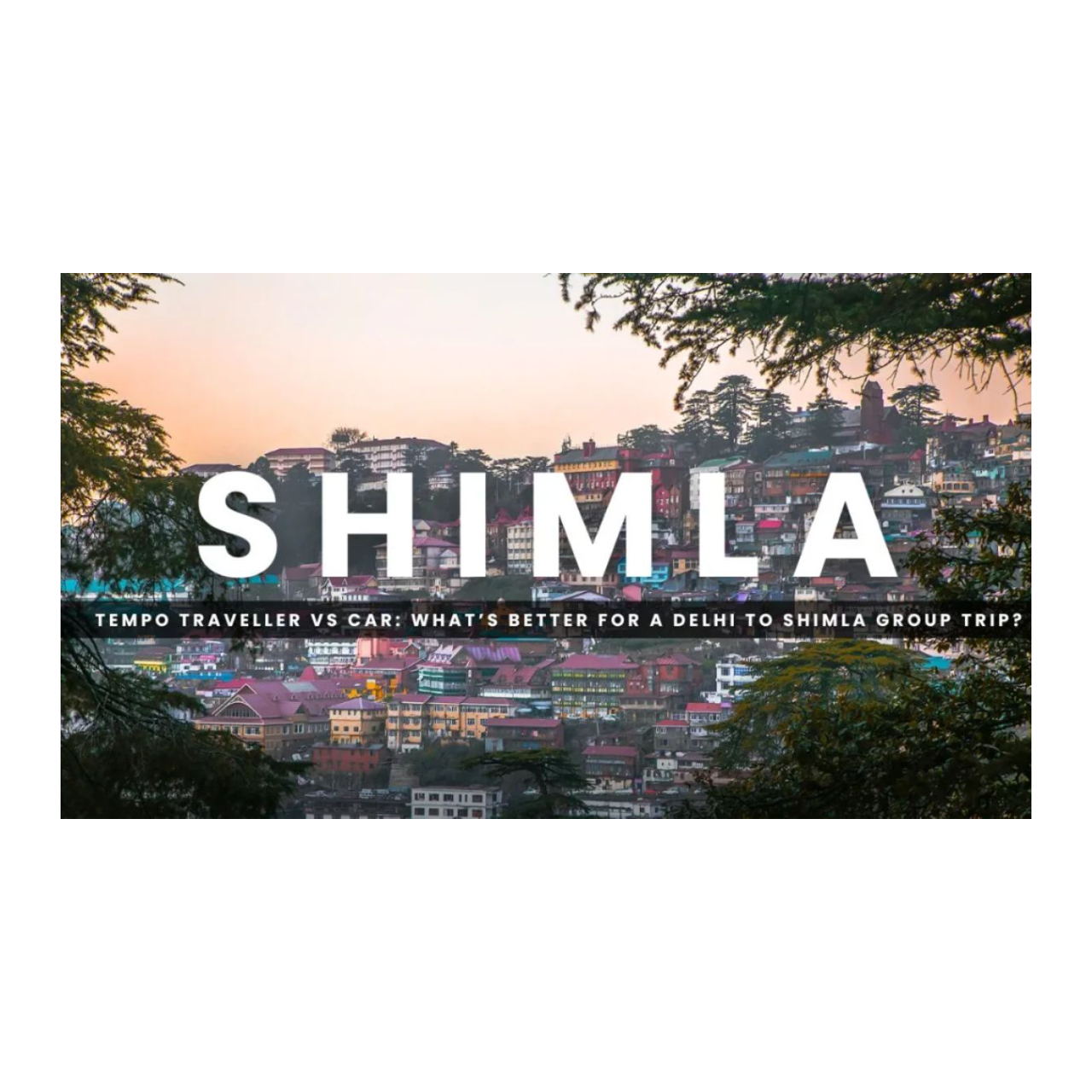 Tempo Traveller vs Car: What’s Better for a Delhi to Shimla Group Trip?