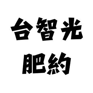 苗博雅 台智光監視器肥約弊端