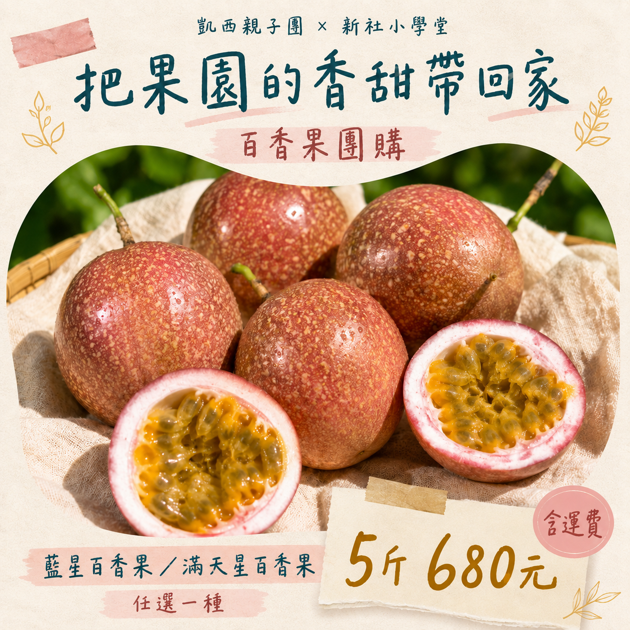 Cathy凱西