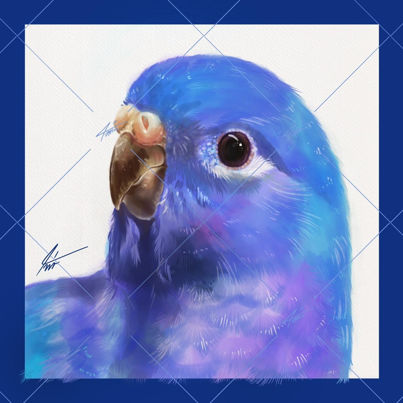 戴圍兜兜的貓 מּ ≋𝒞𝓵𝓪𝓾𝓭𝓲𝓪 𝓛𝓲𝓷 ৲ 4𝓶𝓾 ≋ 2048x2048，300dpi，RGB