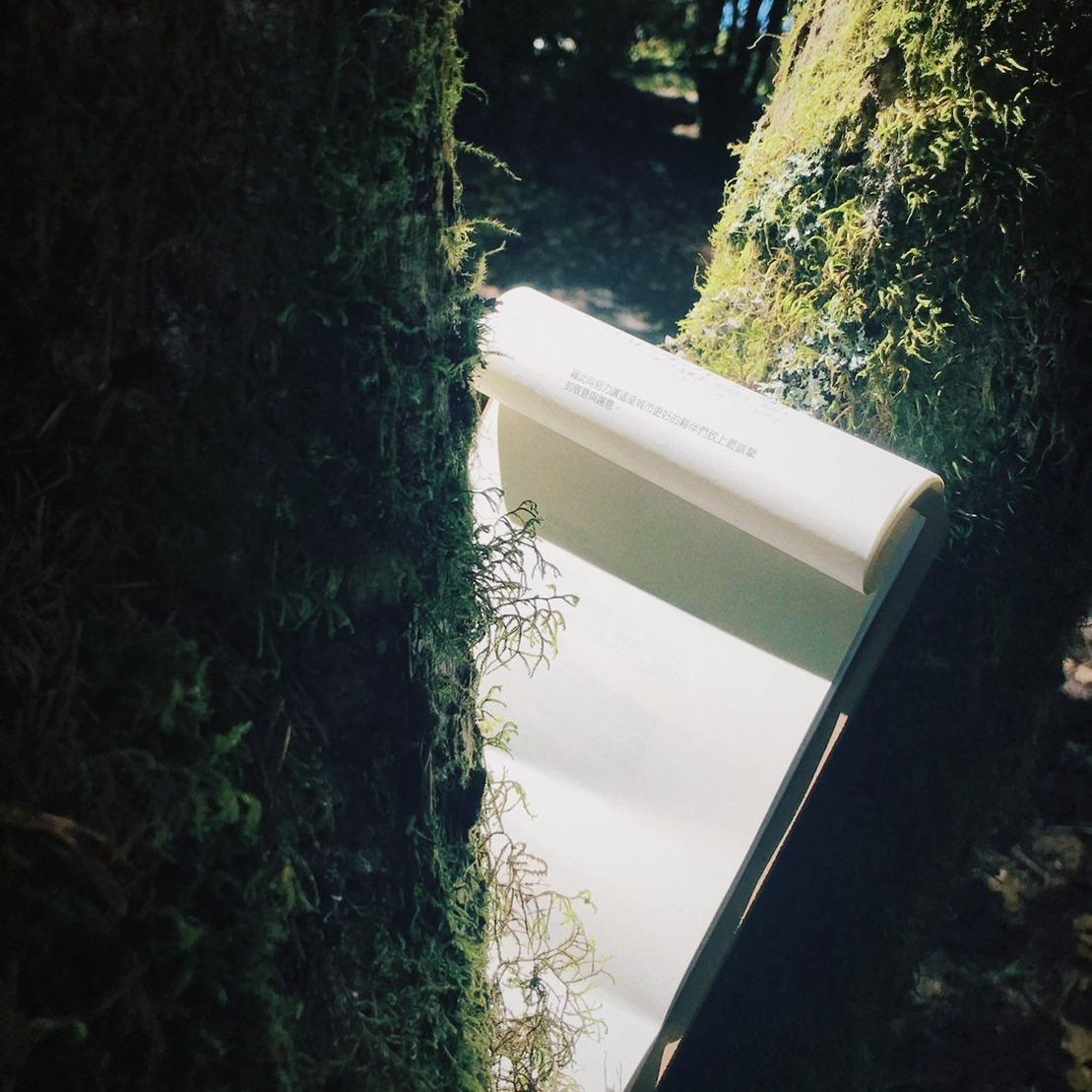 文案 採訪編輯 品牌經營 社群行銷