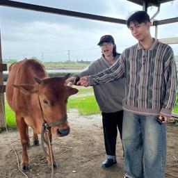 台灣好行東北角一日遊套票！裡面有手冊及購買QRcode唷