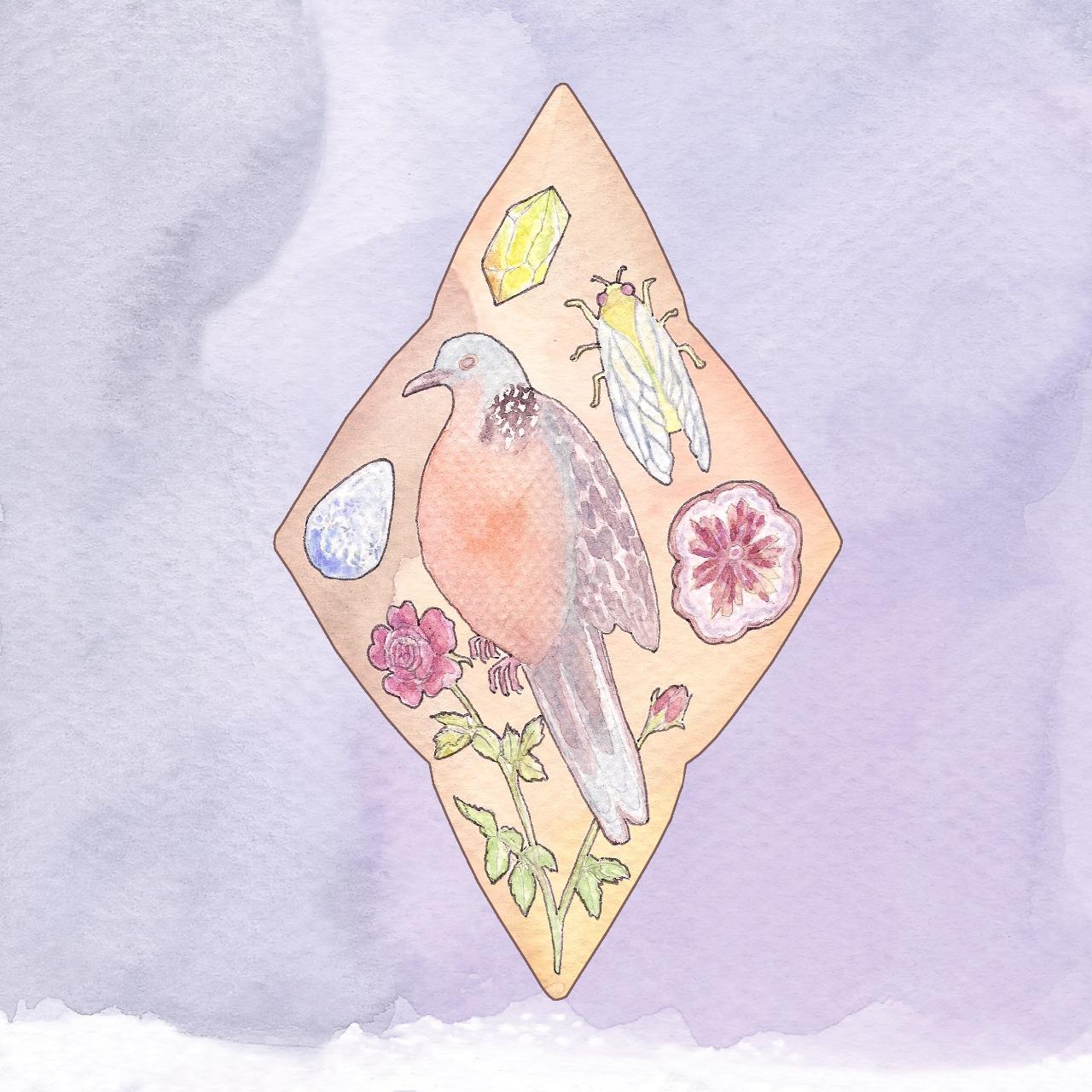 斑斕之野 Panlandya 斑斕之野的插畫 instagram