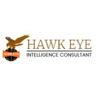 Hawkeye Detective Agency