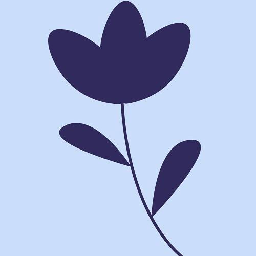 Blog｜閱讀遇金箱