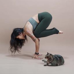 DingkokoYoga 酒精瑜伽