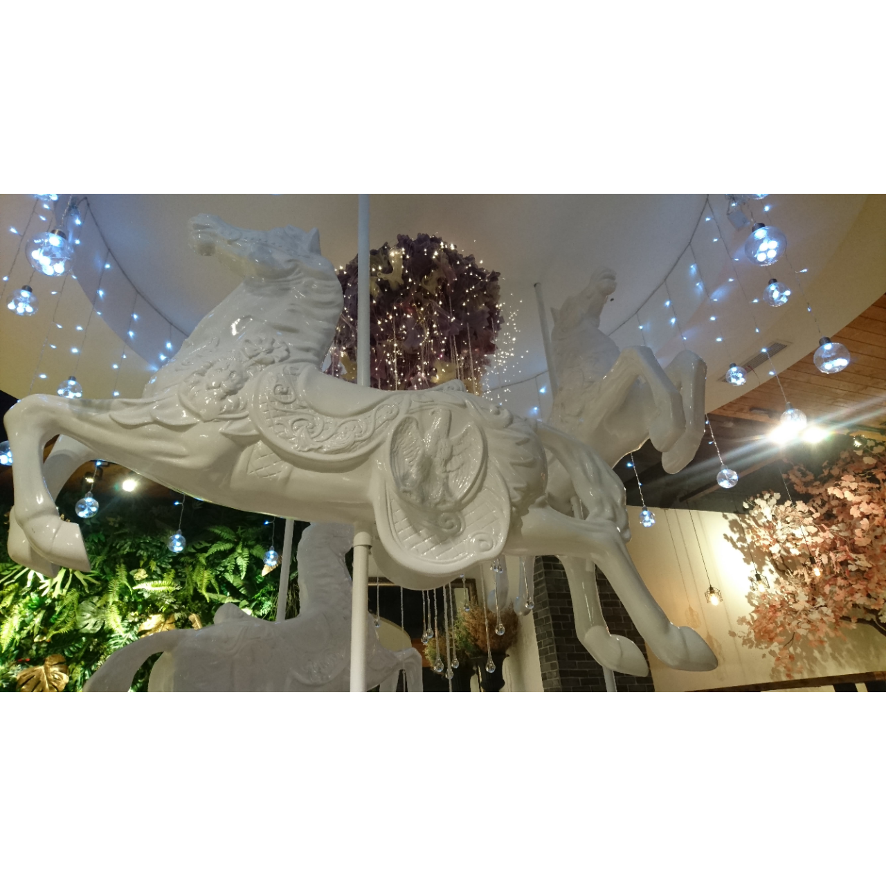 雛燕(Ruby) 攝影 手機攝影 咖啡廳 手作 園藝 乾燥花