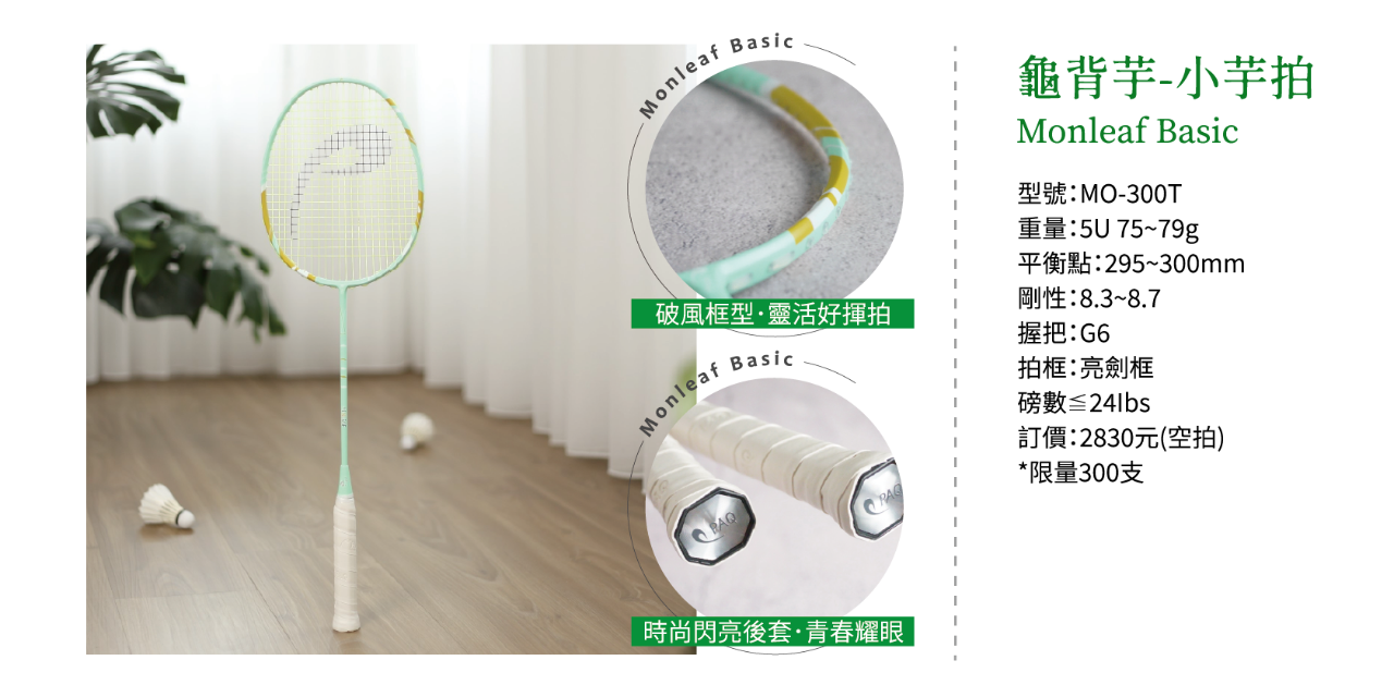 PAQ BADMINTON 點我看更多