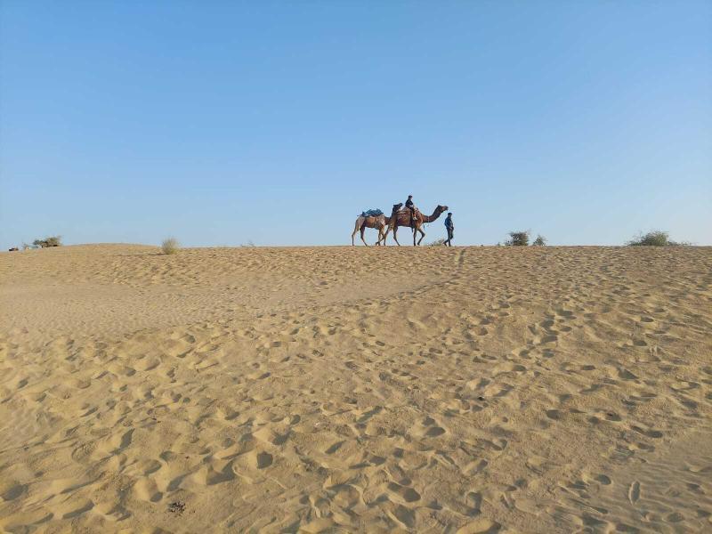 What is the budget for Delhi to Jaisalmer Trip?