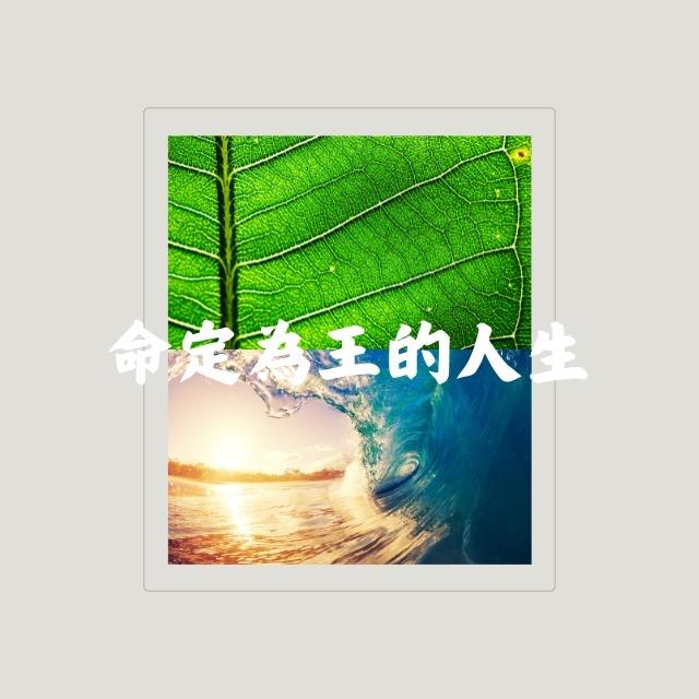 NIC新創教會 核心價值