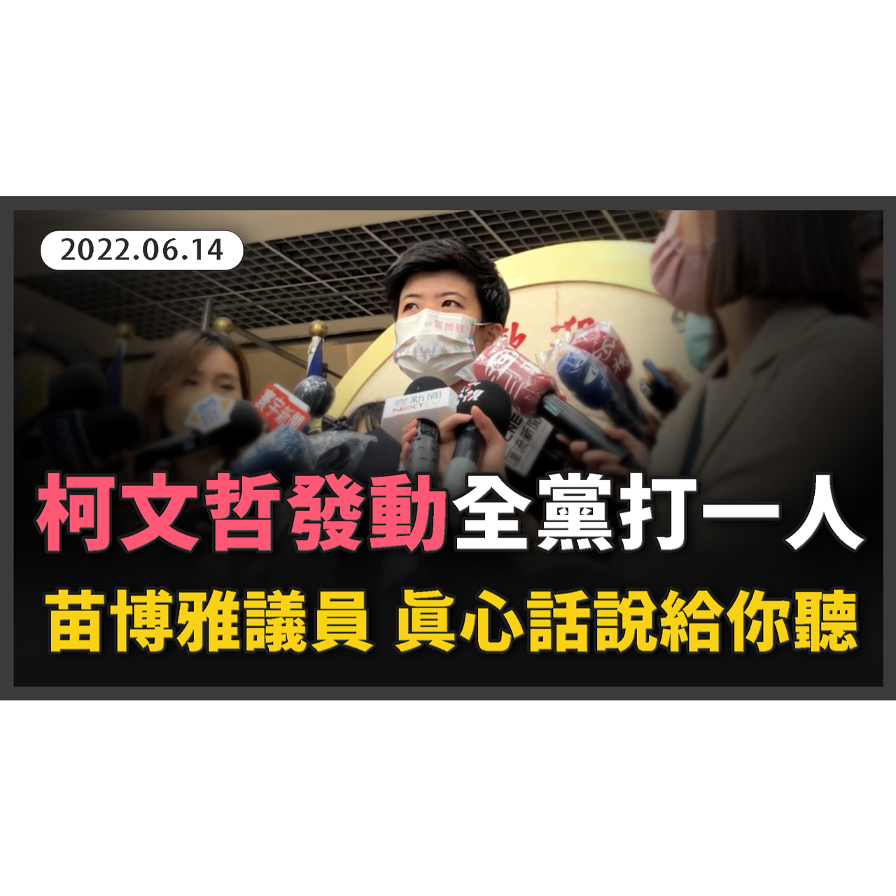 柯文哲全黨打一人，苗博雅議員真心話