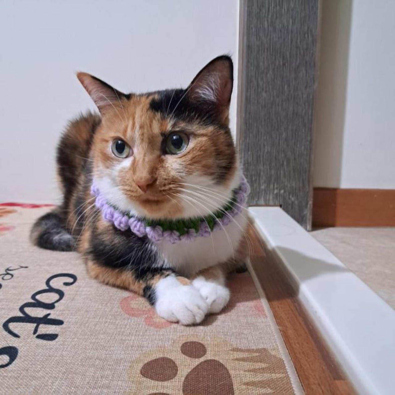 L's 手工編織寵物項圈 – 獨家創意設計