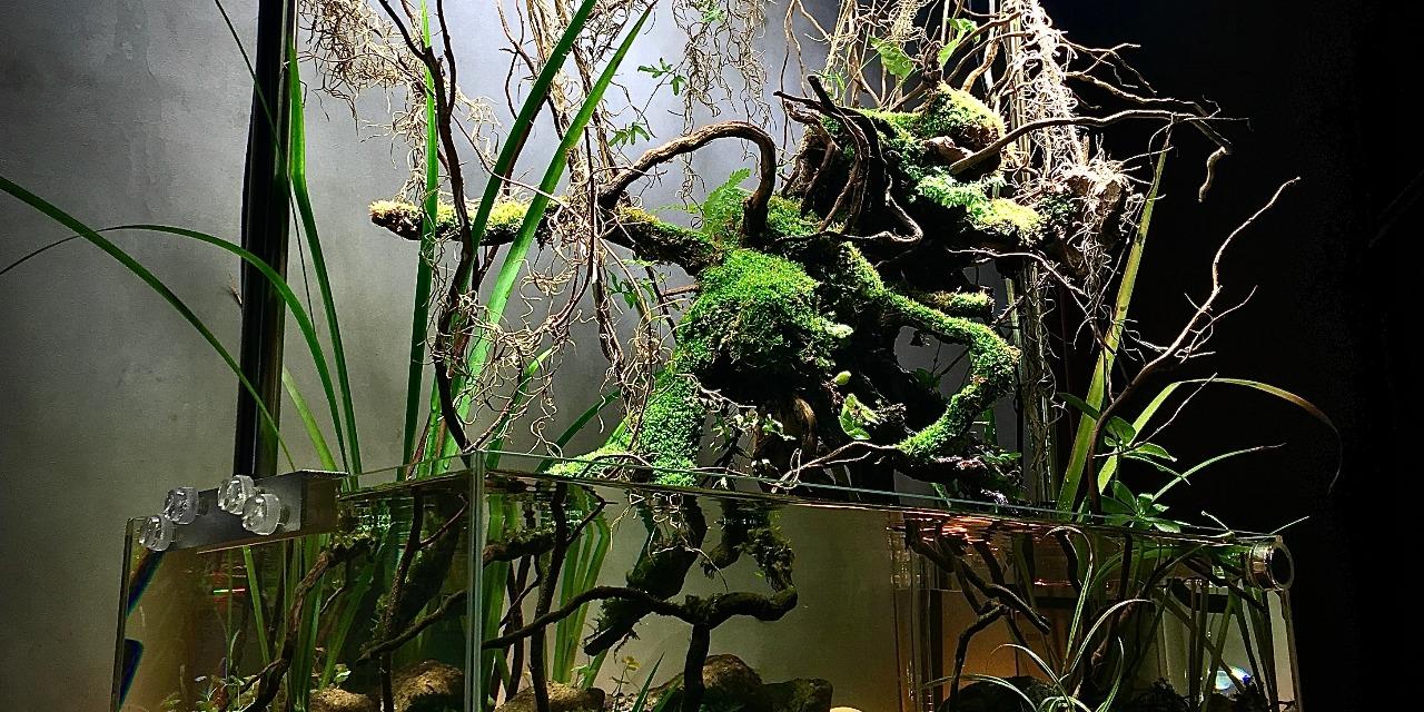 MeP Lab EXPLORE THE INFINITY WITH US.