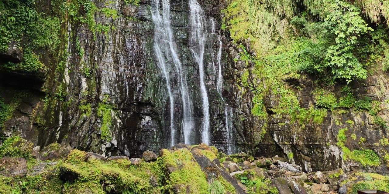 優雅阿姨🎙️吉白職場 宜蘭旅遊