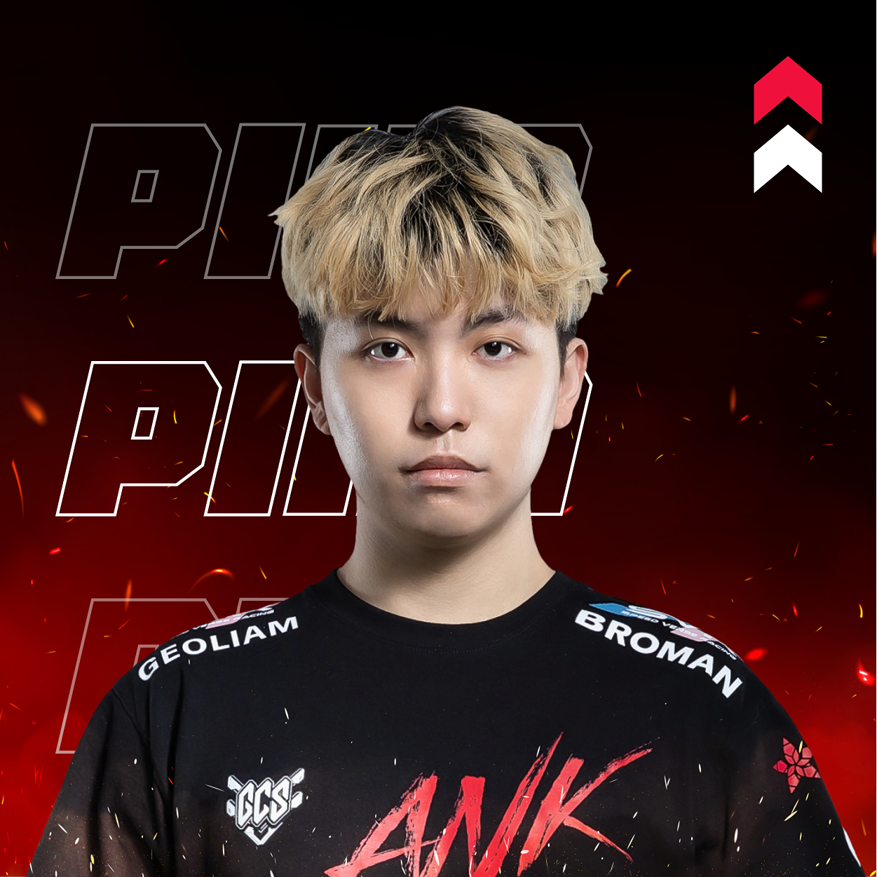 ANK Gaming 電競職業戰隊