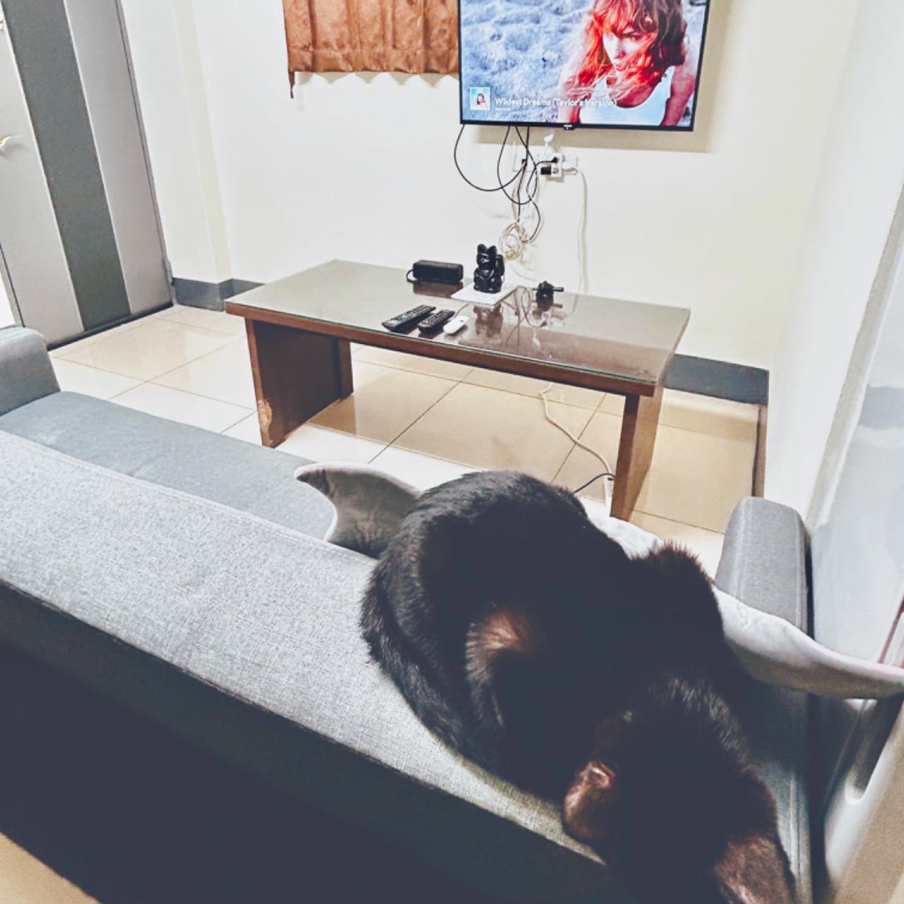 時毛·台中男性熱蠟/冰肌無痛除毛/男性機能按摩 台中男性除毛