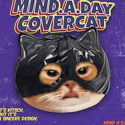 ⁺◟ 歡迎成為小Light打 ⁺◟♡² teteum