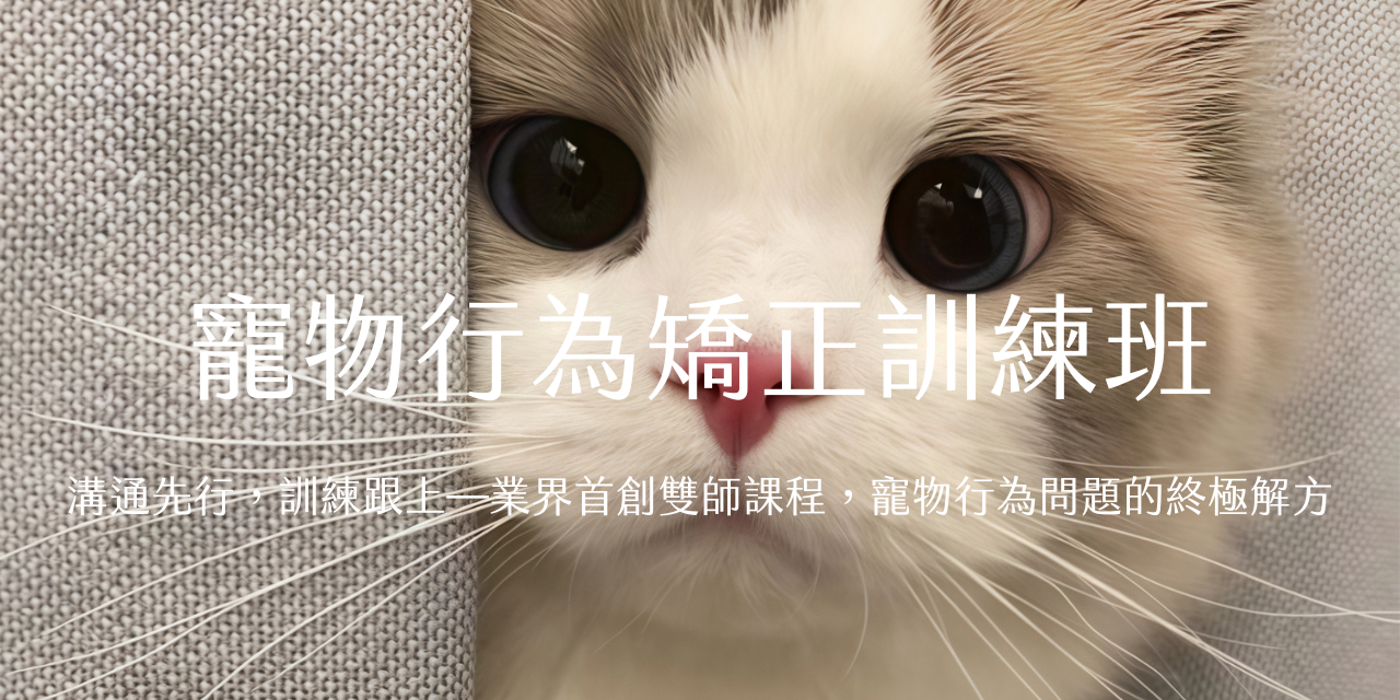Luna寵物溝通師 創新「線上陪跑式寵物行為解決方案」—結合專業寵物溝通與遠距訓練指導的全程陪伴服務。我們的專家團隊透過線上平台提供即時指導，解讀寵物心理需求，同時教導主人正確的互動技巧與訓練方法。服務特點：線上環境評估、即時溝通指導、個人化訓練規劃、定期進度追蹤與調整、全程陪跑式支持。有別於傳統單次諮詢或外送訓練，我們提供持續性的線上陪伴，確保主人能在家中獨立應對並改善寵物行為問題，建立持久有效的溝通與訓練成果。適合希望在家自行解決寵物行為問題，但需要專業指導與持續支持的飼主。