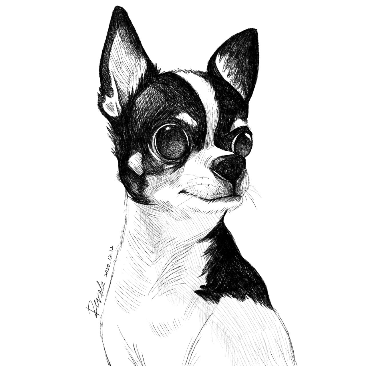 竹本熊 插畫｜Money