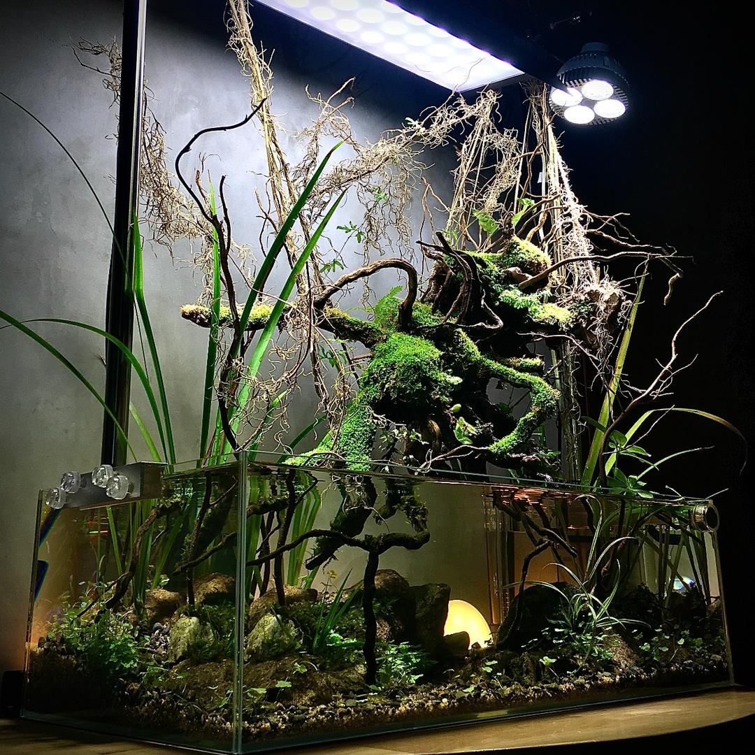 MeP Lab