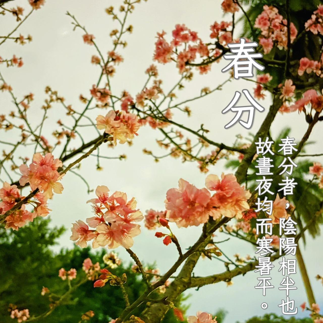 身體秘境 Redirecting...