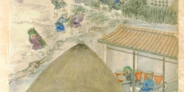 敘事圈StoryCircle 台灣糖讓日本人為之瘋狂讀