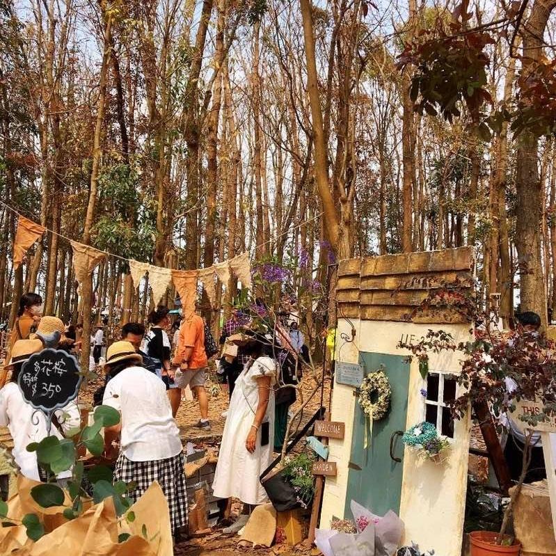 灰熊綠展11.2
