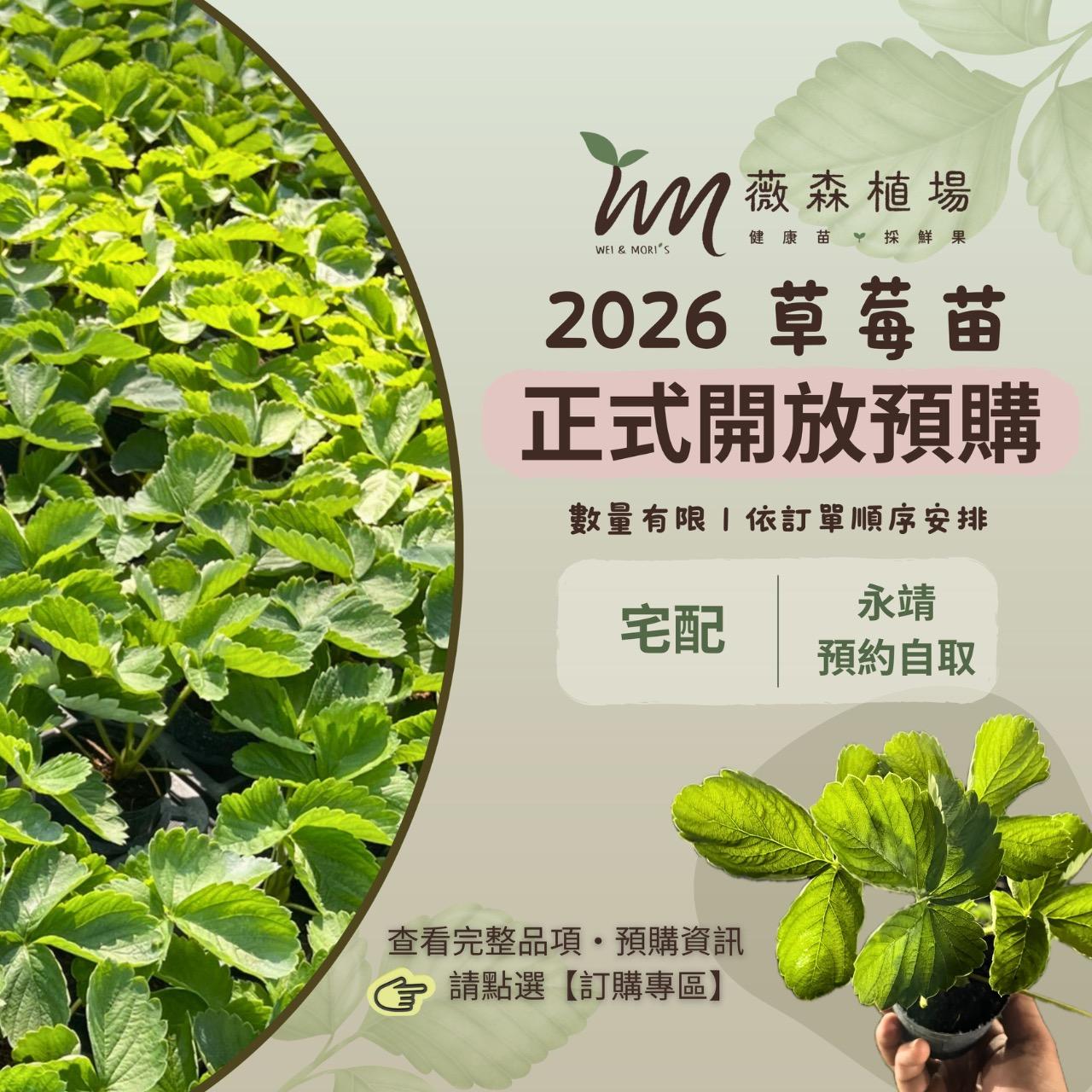 薇森植場 進來看更多品項✨