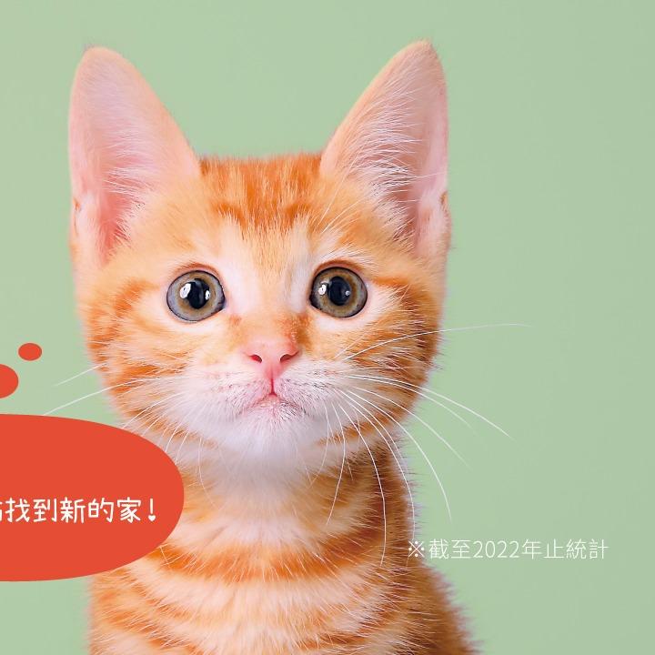 單次捐款(捐款方式及收據開立說明)