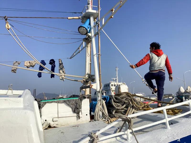 報導者 The Reporter 漁貨種類今昔不同？漁民被迫放「無薪假」？海上生活有何甘苦？──走進旗津漁港工作現場紀實