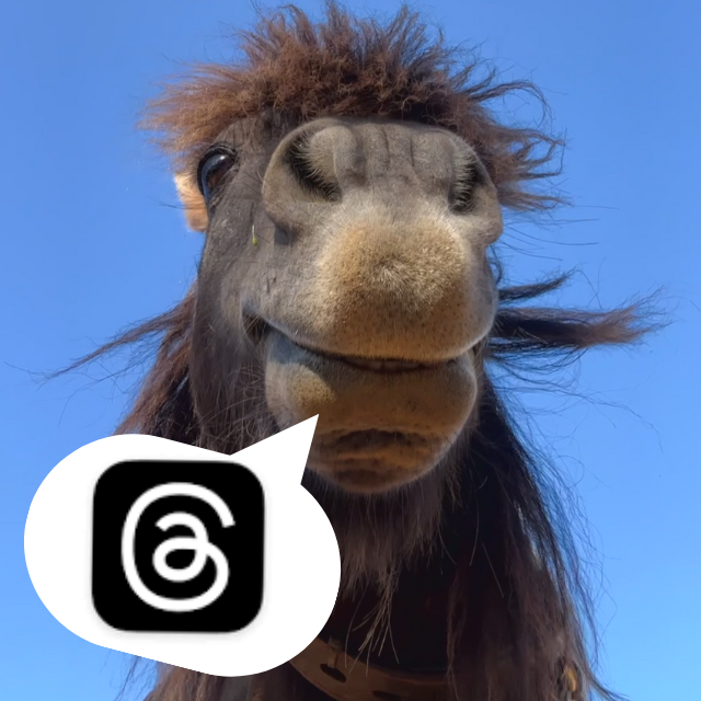 星月天空景觀餐廳