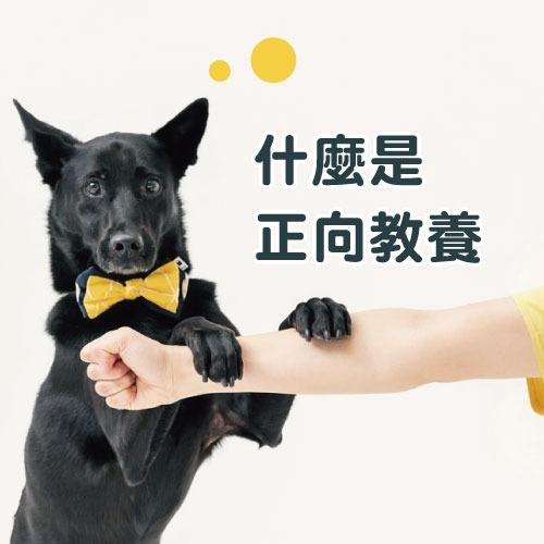 浪犬博士-狗兒家庭教育學院