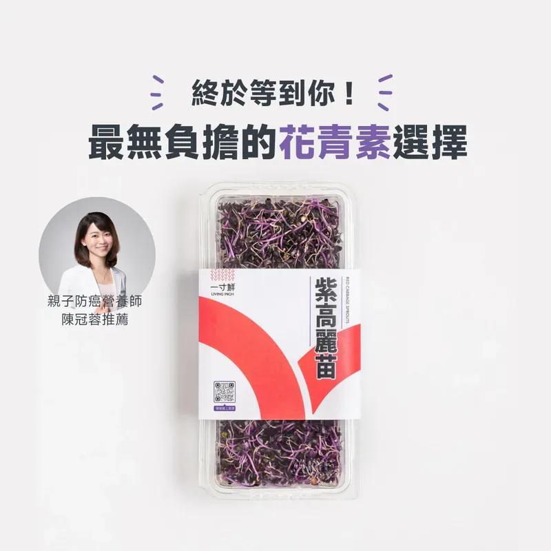 一寸鮮 三日苗╳紫高麗苗 最佳拍檔免運組